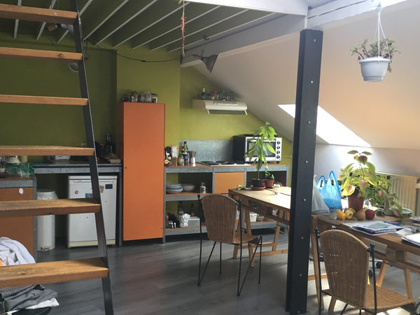 The apartment is simple, clean and very warm. There are many plants, colors and  Tours, France Cozy room in the heart of Ixelles Private room in rental unit vacation rental 38847619