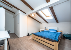 City centre, perfect public transport. Prague, Czechia Legerova Loft apartment Entire rental unit vacation rental 610566699953470595