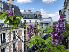 Beautifull sunny apartment of 100 sq m, with flowered balcony, between Montmartr Paris, France **SPLENDID SUNNY 100 SQM & BALCONY IN MONTMARTRE** Entire rental unit vacation rental 21202790
