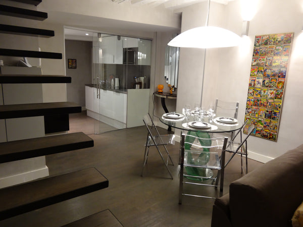 Beautifull stylish duplex apartment 750sqft on 6th fl. Close to everything with  Paris, France In the heart of PARIS face Louvre Museum Entire rental unit vacation rental 2529423