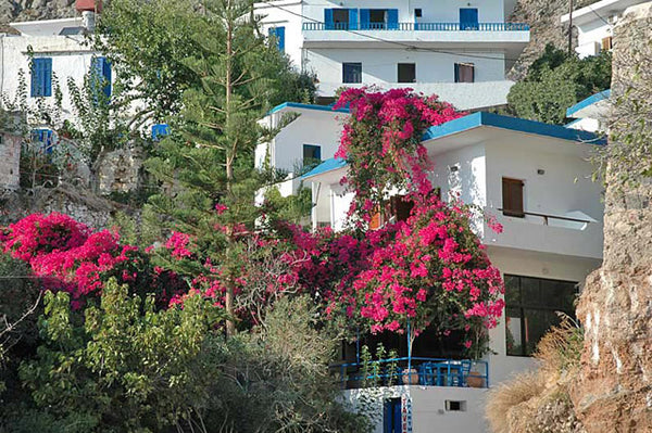 One-room studio. 3 big single beds, kitchenette, AC, bathroom. Second floor, no  Hora Sfakion, Greece Simple and nice studio. Entire rental unit vacation rental 7870964