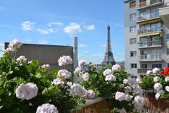L'appartement se trouve dans un beau quartier du 15ème arrondissement de Paris,  Paris, France Beau studio avec une belle vue sur la tour Eiffel Entire rental unit vacation rental 2791374
