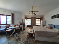 Amazing private studio apartment on the Aegean Sea with private balcony and entr Tampa, FL Sea Diver Villa Sea Urchin Studio Entire rental unit vacation rental 39911727