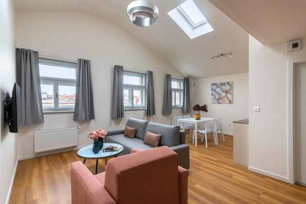 Spacious New apartment close to the central district. Could accommodate up to 5  Prague, Czechia Spacious and Sunny Attic One Bedroom Apartment! Entire rental unit vacation rental 589176132338674532
