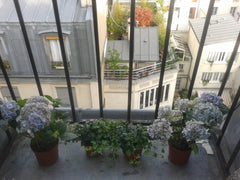 The apartment is located in the 19 arrondissement, with some of the nicest parks Vienna, Austria Sunny room in a a nice flat Private room in rental unit vacation rental 1237872