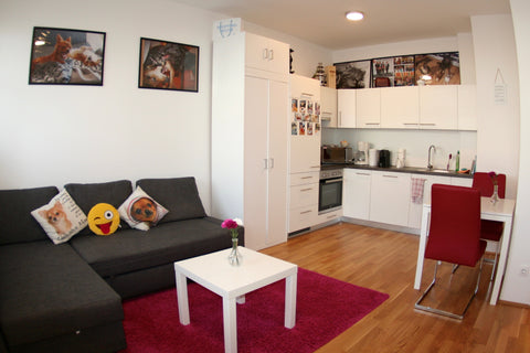 Beautiful 2-room apartment on the ground floor of a new building close to the Un Vienna, Austria Trendy Danube Apartment - Central - Airconditioned Entire rental unit vacation rental 34974673