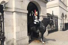 The Crown Private Royal Tour London  Private Tours and Travel Guide Europe London CITY London Destination Tour Europe London CITY London