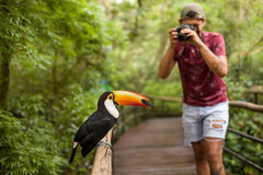 Bird Park Tour  Private Tours and Travel Guide America Sao Paulo CITY Foz do Iguacu Destination Tour America Sao_Paulo CITY Foz do Iguacu