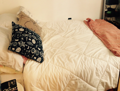 Bright, quiet and private room in my comfortable oldschool (building built in 19 New York, NY Rental unit in Brooklyn · ★4.53 · 1 bedroom · 1 bed · 1 shared bath Private room in rental unit vacation rental 13360675