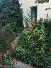 Mon logement est situé dans un jardin au pied de la butte Montmartre, à quelques Paris, France Votre maisonnette à Montmartre !-) Entire rental unit vacation rental 15426937