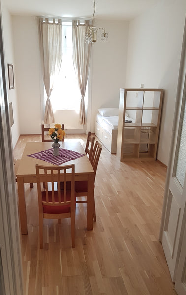 Vienna, Austria High-quality Apart. in historic city center Entire rental unit vacation rental 51580044