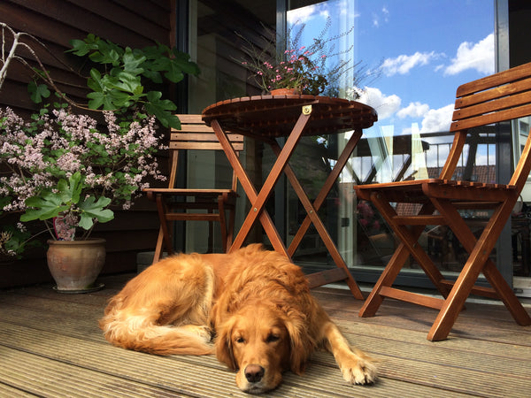 The apartment is at 4th floor and has two floors. 1. floor has a big bedroom, a  Copenhagen, Denmark Sunny terrace, 130 m2, 2 floors Entire condo vacation rental 2425258