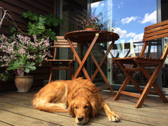 The apartment is at 4th floor and has two floors. 1. floor has a big bedroom, a  Copenhagen, Denmark Sunny terrace, 130 m2, 2 floors Entire condo vacation rental 2425258