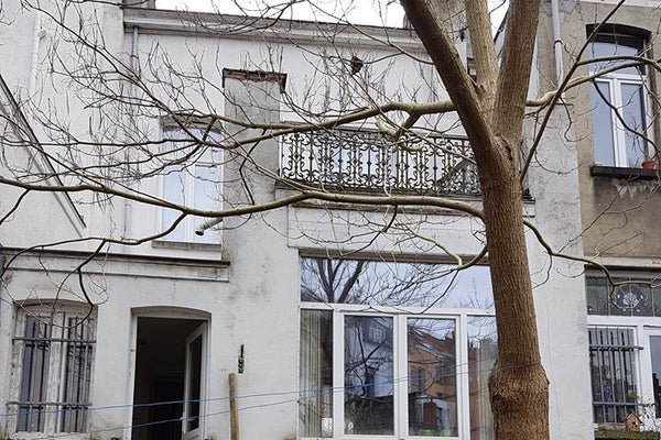 Een groot herenhuis aan het gezellige Elisabethpark en de indrukwekkende Basilie  Gezellig flaneren in Brussel? Huis met tuin... Private room in townhouse vacation rental 42556900