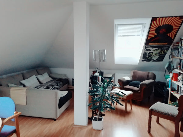 The flat, 54sm, is located in a house family with only 2 families - included us  Prague, Czechia Calm and cozy place Dome vacation rental 41024493