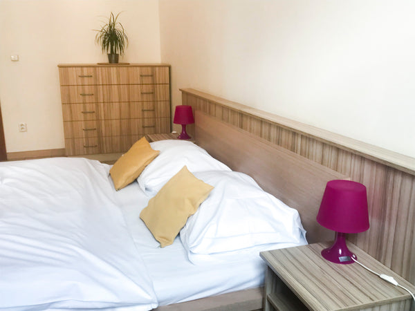 Located in one of the largest cities of the European Union, the Ginosi Elema Apa  Kaja Prague Entire rental unit vacation rental 28233832