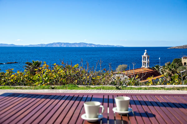 Independent apartment in a  block of three flats on a plot of 5000 sq. meters, j Athens, Greece Sun & Sea Cottage Cycladic home vacation rental 25069717