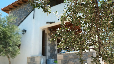 Beautiful Stone Cottage with traditional cretan decoration in an big organic oli  Petra & Elia House Entire cottage vacation rental 670874863360682069