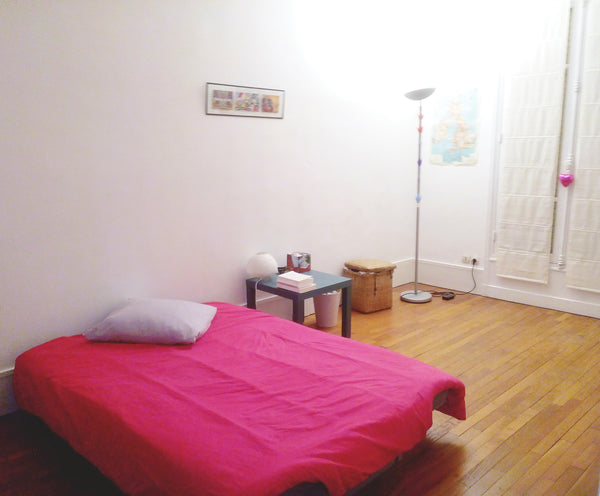 Lovely one-bedroom flat just near Beaugrenelle shopping center and the Eiffel To Paris, France Nice appartment, Paris 15 Entire rental unit vacation rental 9858264