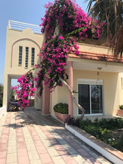 In one of the remaining virgin areas of Rhodes, few steps from the Mediterranean Greece Villa George Entire villa vacation rental 20026611