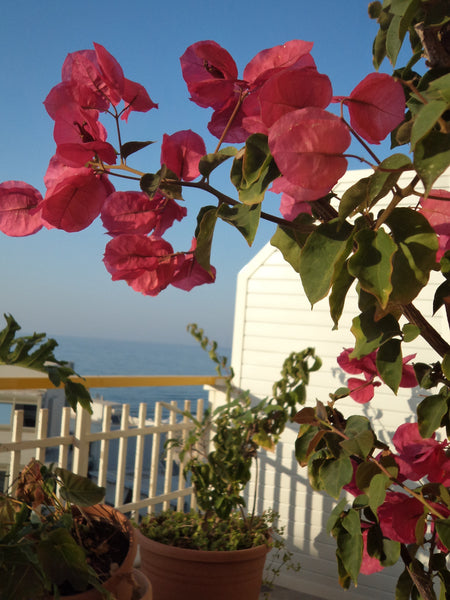 Located at the top (6th) floor of the building, it's 5' walk from the center and Crete Region, Greece 2 bedroom flat next to the beach Entire rental unit vacation rental 583734