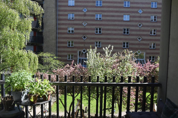Our cozy apartment should feel like home. We hope to provide guests with a comfo Rocky Mount, NC Central Apt with patio and access to rooftop Entire rental unit vacation rental 34616841