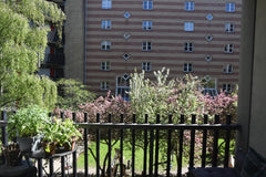 Our cozy apartment should feel like home. We hope to provide guests with a comfo Rocky Mount, NC Central Apt with patio and access to rooftop Entire rental unit vacation rental 34616841