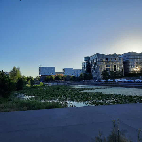 Je loue la chambre de mon fils parti étudier à Madrid quelques semaines ...<br / Lyon, France Lyon Confluence : chambre chez l'habitant Shared room in rental unit vacation rental 682522908678128929