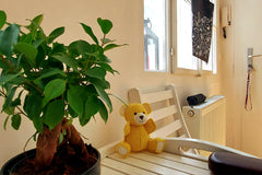 Hey, I am Markus, a digital nomad from Vienna. I travel a lot and sublet my beau Vienna, Austria Writers flat in very best area Entire rental unit vacation rental 51319122