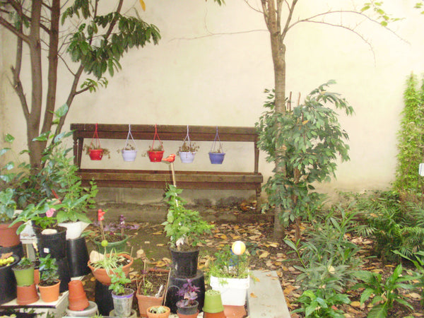 Situé en plein cœur du quartier latin, donnant sur un jardin intérieur, ce studi Paris, France Studio cosy en plein coeur de Paris Entire rental unit vacation rental 5971214