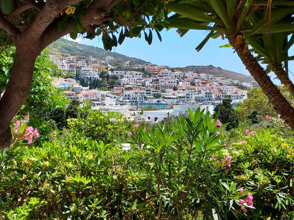In a quite spot in the picturesque Batsi seaside village of Andros island, Andro Greece Andros4u Garden house with view Cycladic home vacation rental 8606589