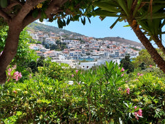 In a quite spot in the picturesque Batsi seaside village of Andros island, Andro Greece Andros4u Garden house with view Cycladic home vacation rental 8606589