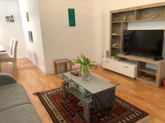 Entspanne dich mit der ganzen Familie in dieser friedlichen Unterkunft. Diese sc Vienna, Austria Beautiful Apartment near Schönbrunn Palace Entire condo vacation rental 610581368139959087