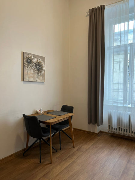 Very cozy studio within walking distance from the center of Prague (about 5-7 mi Prague, Czechia Comfortable Apartment Sokolska Entire rental unit vacation rental 646066546493636716