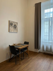 Very cozy studio within walking distance from the center of Prague (about 5-7 mi Prague, Czechia Comfortable Apartment Sokolska Entire rental unit vacation rental 646066546493636716