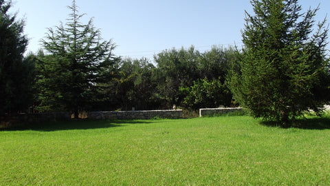 Α 60 sq.m. house with a garden, in a quiet environment, with α  parking space, s  Chrysanna Entire home vacation rental 24568105