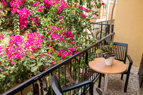 A bright double studio, with a wooden desk and a colourful balcony, overlooking  Chania, Greece Poppy, a charming studio in Chania old town Entire serviced apartment vacation rental 46257286