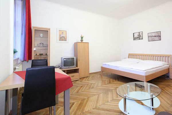 Dieses kleine Apartment ist für 2 Personen ideal geeignet und komplett ausgestat Vienna, Austria Gemütliches helles 1-Zimmer Apartment nahe Zentrum Entire rental unit vacation rental 23676174