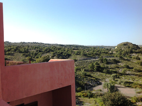 Queen of the island, Persephone's Loft is a spacious one-bedroom apartment sitti Greece Rhodes Retreat - Persephone's Loft Entire loft vacation rental 6183234