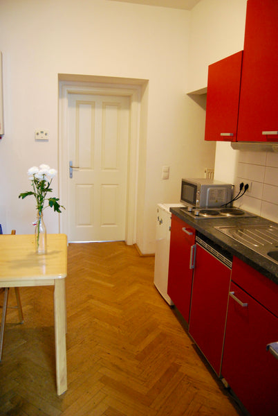 The apartment is located in a recently renovated building from 1898, which has 1 Vienna, Austria Classic 19th Century, central & Quiet (16) Entire rental unit vacation rental 13009052