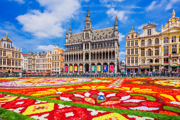 This 1-bedroom apartment is to rent on Pl. de la Vieille Halle aux Blés, Brussel Paris, France Appart. 1 bedroom in the hyper center with balcony Entire rental unit vacation rental 699355016370092741