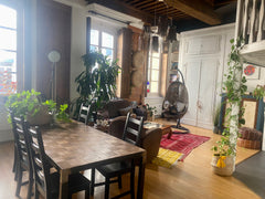 Venez profitez de notre appartement en centre ville lors de votre voyage à Lyon, Lyon, France Superbe appartement idéal pour séjour amoureux Entire rental unit vacation rental 721471747239801910