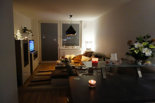 <b>The space</b><br />Paare Vienna, Austria Cosy flat in Vienna Entire rental unit vacation rental 21633800