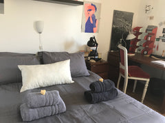 Une chambre privée dans un appartement cosy, où nous vivons avec ma fille de 20  Lyon, France Chambre privée dans appartement cosy Private room in rental unit vacation rental 26745781