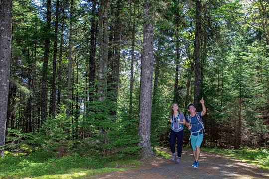 St Martins Fundy Trail  Private Tours and Travel Guide America Moncton CITY Saint John Destination Tour