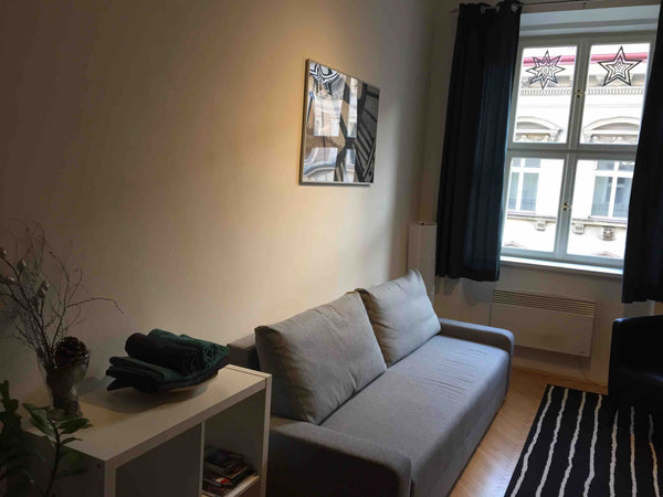 Our brand new cosy apartment is ideal for a couple or group of friends looking f Prague, Czechia Cosy Anděl flat for couples near Prague center Entire rental unit vacation rental 30037791