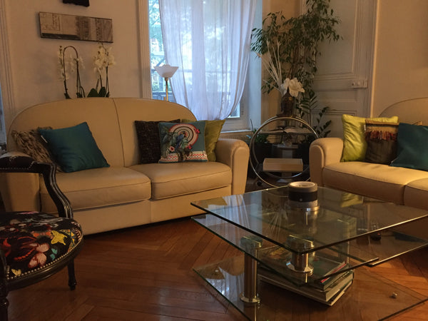 Je mets à disposition une chambre double (lit 160cm) avec TV, salle de bains en  Lyon, France 1 chambre deux personnes en plein cœur de Lyon Private room in rental unit vacation rental 28116989