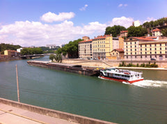 L'appartement est situé à 10 min à pied du quartier St jean, 15 min du centre vi  Appartement de 50m2 vu sur Saône Entire rental unit vacation rental 12185996