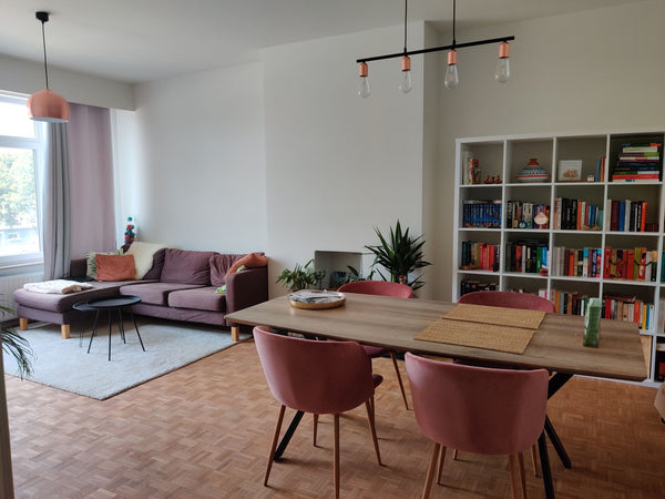 Gezellig appartement,<br />bestaande uit een aangename woonruimte met veel licht Antwerp, Belgium Gezellig appartement in Antwerpen. Entire rental unit vacation rental 45083100