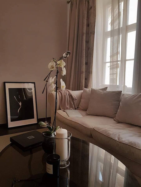 Newly renovated apartment in historical building from 15th century, right in the Prague, Czechia Charming apartment in the heart of Old Town Entire rental unit vacation rental 25624482
